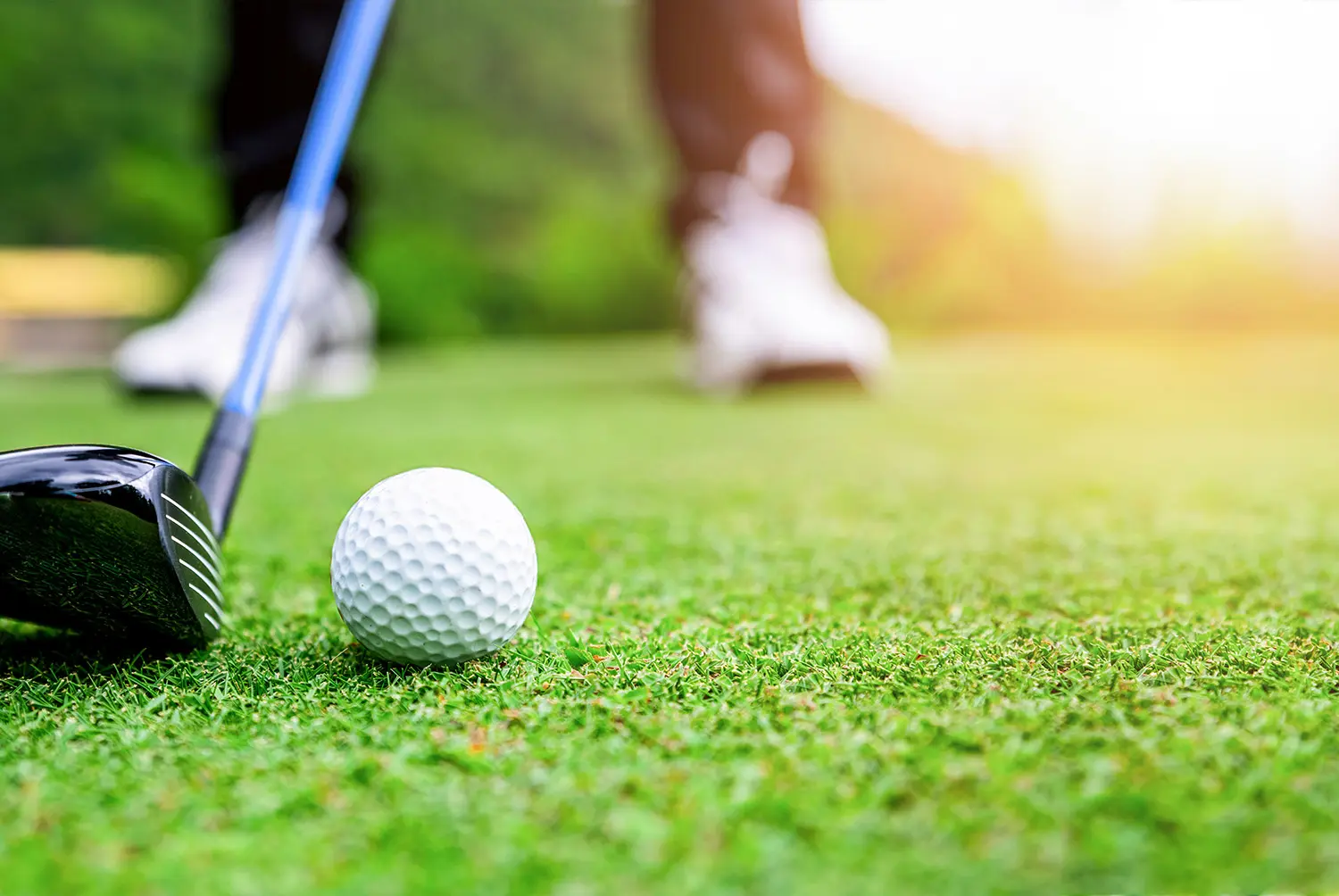 Bay Hill Property Management